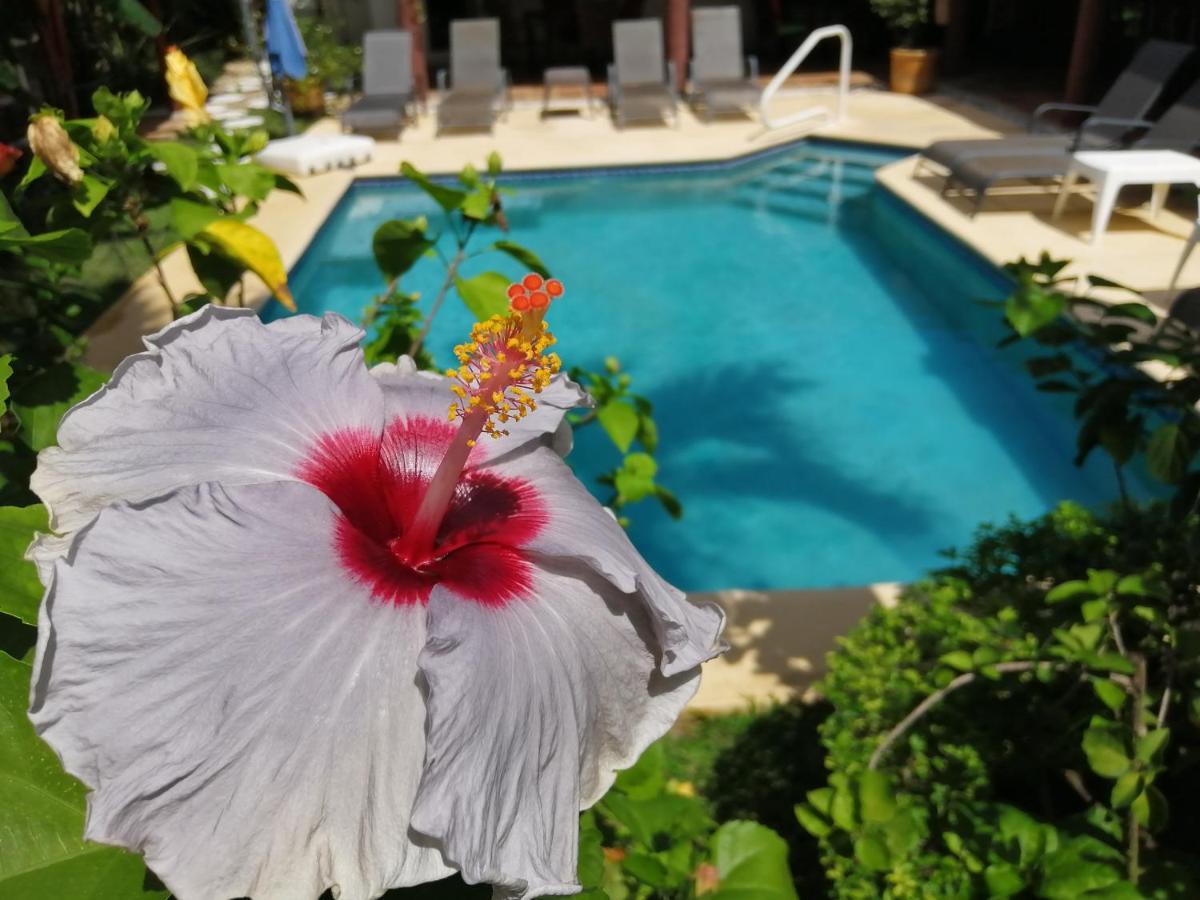 Villa Botero By Casa Mojito サンタ・クララ エクステリア 写真